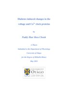 Diabetes induced changes in the voltage and Ca2+ clock proteins