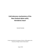 Cold tolerance mechanisms of the New Zealand alpine wētā, Hemideina maori