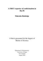 A FRET reporter of conformation in Hsc70