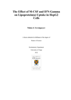 The Effect of M-CSF and IFN-Gamma on Lipoprotein(a) Uptake in HepG2 Cells