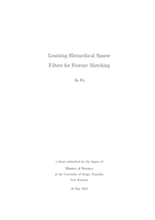 Learning Hierarchical Sparse Filters for Feature Matching