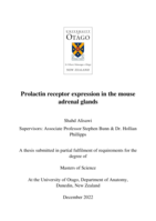 Prolactin receptor expression in the mouse adrenals