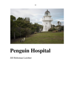 The Yellow-eyed Penguin: A Review of Research and Policy