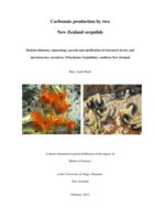 Carbonate production by two New Zealand serpulids : Skeletal allometry, mineralogy, growth and calcification of Galeolaria hystrix andSpirobranchus cariniferus (Polychaeta: Serpulidae), southern New Zealand