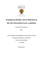 Exopolysaccharide role in infection in the Mesorhizobium-Lotus symbiosis