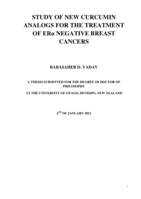 Study of New Curcumin Analogs for the Treatment of Erα Negative Breast Cancers