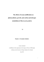 The effects of ocean acidification on photosynthesis, growth, and carbon and nitrogen metabolism of Macrocystis pyrifera