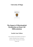 The Impact of Mitochondrial Dysfunction on Stem Cell Differentiation