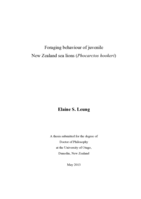 Foraging behaviour of juvenile New Zealand sea lions (Phocarctos hookeri)