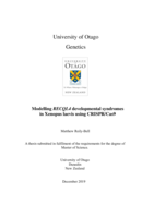 Modeling RECQL4 developmental syndromes in Xenopus laevis using CRISPR/Cas9