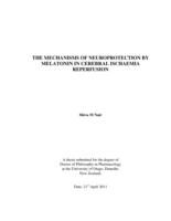 The Mechanisms of Neuroprotection by Melatonin in Cerebral Ischaemia Reperfusion