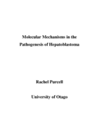 Molecular Mechanisms in the Pathogenesis of Hepatoblastoma