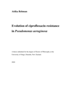 Evolution of ciprofloxacin resistance in Pseudomonas aeruginosa