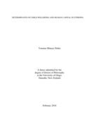 Determinants of Child Wellbeing and Human Capital in Ethiopia