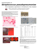Laboratory and Epidemiological Characteristics of Streptococcus pseudopneumoniae