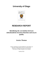Identifying the correlation between mitochondrial structure/function and oocyte quality