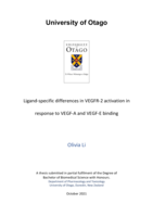 Ligand-specific differences in VEGFR-2 activation in response to VEGF-A and VEGF-E binding