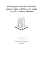 An investigation into the cannabinoid receptor type 2 as a therapeutic target for childhood cerebral hypoxia