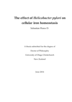 The effect of Helicobacter pylori on cellular iron homeostasis