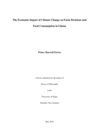 The Economic Impact of Climate Change on Farm Decisions and Food Consumption in Ghana
