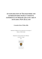 An Exploration of Transgender and Gender Diverse People's Positive Experience of Primary Health Care in Aotearoa New Zealand