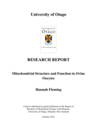 Mitochondrial Structure and Function