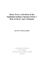 Shear Force Activation of the Epithelial Sodium Channel (ENaC): Role of the β- and γ-Subunits