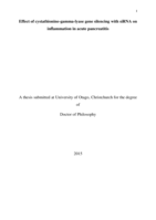 Effect of cystathionine-gamma-lyase gene silencing with siRNA on inflammation in acute pancreatitis