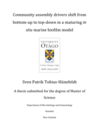 Community assembly drivers shift from bottom-up to top-down in a maturing in situ marine biofilm model