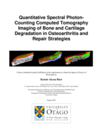 Quantitative spectral photon-counting computed Tomography imaging of bone and cartilage degradation in osteoarthritis and repair strategies