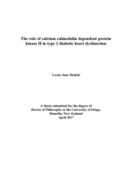 The role of calcium calmodulin dependent protein kinase II in type 2 diabetic heart dysfunction