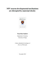 NPY neuron developmental mechanisms are disrupted by maternal obesity