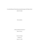 A Last Glacial Maximum to Present Paleoenvironmental Investigation of Port Pegasus, Stewart Island, New Zealand