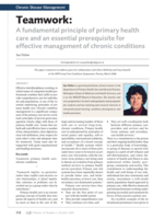 Teamwork: A fundamental principle of primary health care and an essential prerequisite for effective management of chronic conditions.