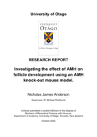 Investigating the effect of AMH on ovarian follicle development using a AMH knock-out mouse model