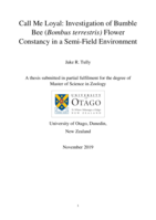 Call Me Loyal: Investigation of Bumble Bee (Bombus terrestris) Flower Constancy in a Semi-Field Environment