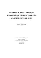 Metabolic Regulation of Endothelial Dysfunction and Cardiovascular Risk