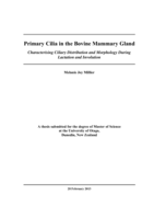 Primary Cilia in the Bovine Mammary Gland: Characterising Ciliary Distribution and Morphology During Lactation and Involution