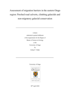 Assessment of migration barriers in the eastern Otago region: Perched road culverts, climbing galaxiids and non-migratory galaxiid conservation