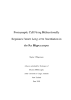 Postsynaptic cell firing bidirectionally regulates future long-term potentiation in the rat hippocampus
