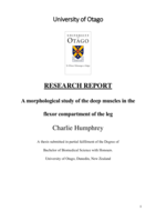 A morphological study of the deep muscles in the flexor compartment of the leg