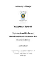 Understanding p53 in Cancer: The characteristics of uncommon TP53 missense mutations