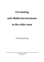 Circulating anti-Müllerian hormone in the older man