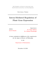 Intron-Mediated Regulation of Plant Gene Expression