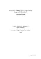 Comparison of FRET probes of conformational changes in DnaK and Hsc70