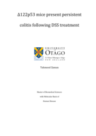 ∆122p53 mice present persistent colitis following DSS treatment