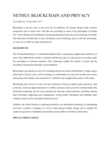 NetHui: Blockchain and Privacy