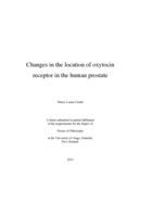 Changes in the location of oxytocin receptor in the human prostate