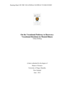 On the Vocational Pathway to Recovery: Vocational Decisions in Mental Illness