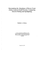 Determining the abundance of Brown Trout (Salmo trutta) in small streams : comparing electric fishing and spotlighting